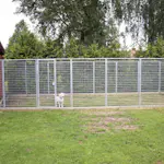 Hundgård Kellfri Large