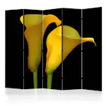 Rumsavdelare Skärmvägg Arkiio Two Yellow Calla Flowers On A Black Background II 225x172 cm