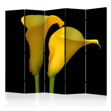 Rumsavdelare Skärmvägg Arkiio Two Yellow Calla Flowers On A Black Background II 225x172 cm