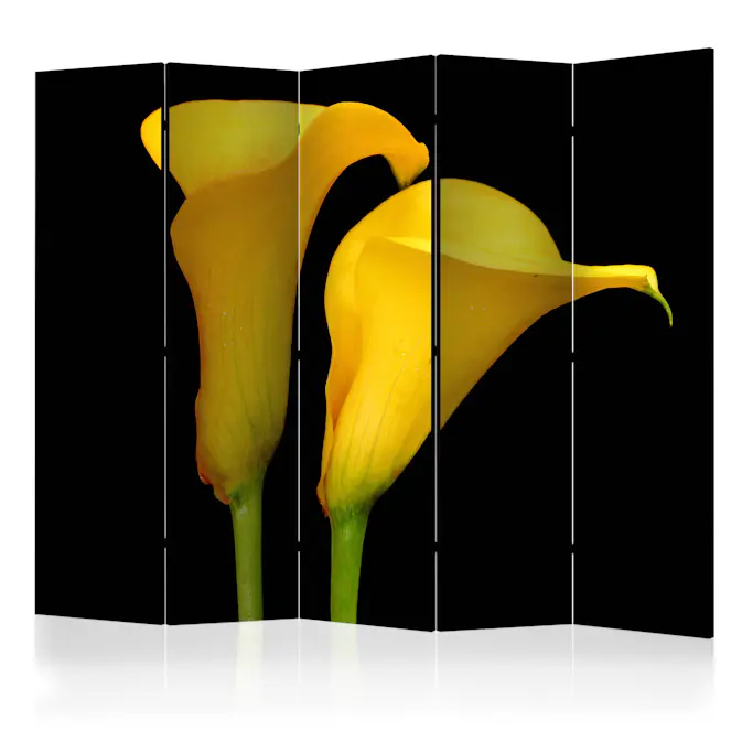 Rumsavdelare Skärmvägg Arkiio Two Yellow Calla Flowers On A Black Background II 225x172 cm