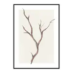 Poster Gallerix Branch