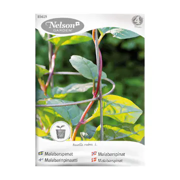 Frö Malabarspenat Nelson Garden Röd