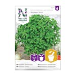 Frö Basilika Nelson Garden Balkon Star Småbladig