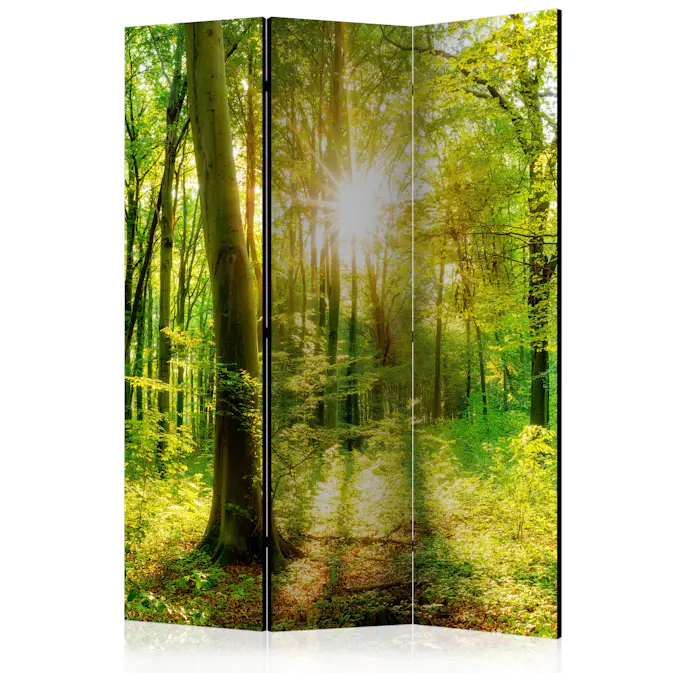 Rumsavdelare Skärmvägg Arkiio Forest Rays 135x172 cm