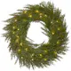 Krans Star Trading Thuja 45 cm 30L bo