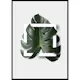 Poster Gallerix Monstera Boxed