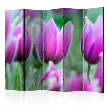 Rumsavdelare Skärmvägg Arkiio Purple Spring Tulips II 225x172 cm
