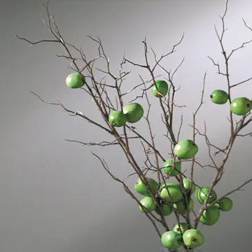 Glasbyte Swedoor Sido-/Överljus