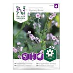 Frö Förgätmigej Nelson Garden Kinesisk Mystery Rose