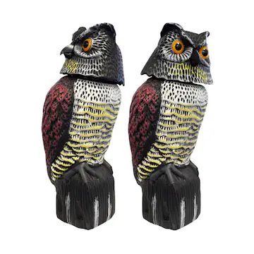 Fågelskrämma Home it Uggla med Roterande Huvud för Trädgård & Utemiljö