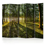 Rumsavdelare Skärmvägg Arkiio Morning in the Forest II 225x172 cm