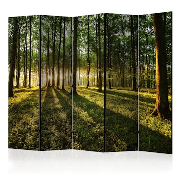 Rumsavdelare Skärmvägg Arkiio Morning in the Forest II 225x172 cm