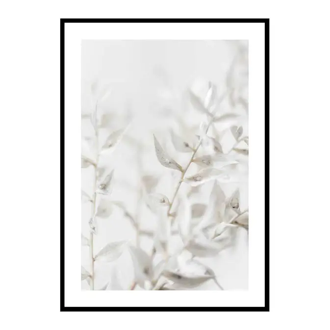 Poster Gallerix White Dried Flower