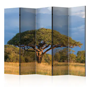 Rumsavdelare Skärmvägg Arkiio African Acacia Tree Hwange National Park Zimbabwe II 225x172 cm