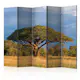 Rumsavdelare Skärmvägg Arkiio African Acacia Tree Hwange National Park Zimbabwe II 225x172 cm