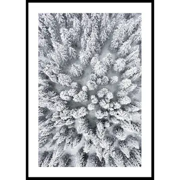 Poster Gallerix Snow Forest Aerial