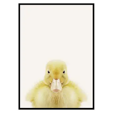 Poster Gallerix Baby Duck