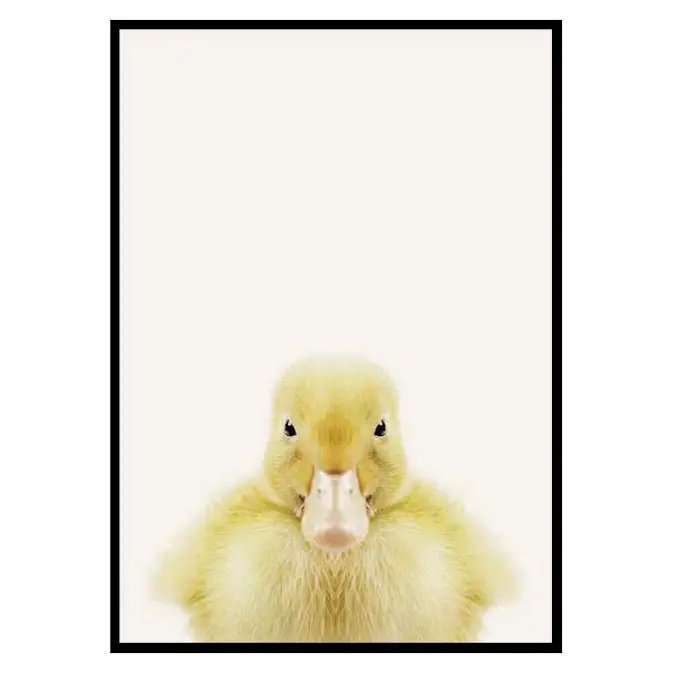 Poster Gallerix Baby Duck