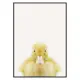 Poster Gallerix Baby Duck