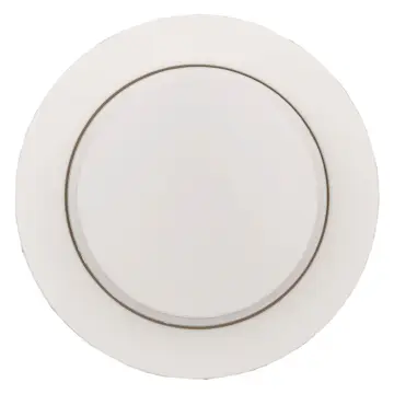 Ratt till Dimmer Schneider Electric Renova för Centrumplatta