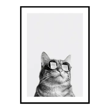 Poster Gallerix Cat With Shades