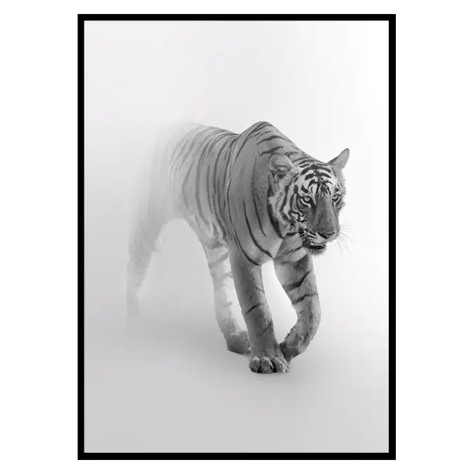 Poster Gallerix Faded Tiger
