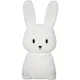 NattlampaLED Star Trading Functional Bunny