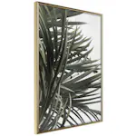 Poster Artgeist Affisch In the Shade of Palm Trees