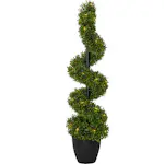 Dekorationsträd Star Trading Buxbom 90 cm 30L