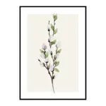 Poster Gallerix Willow Branches