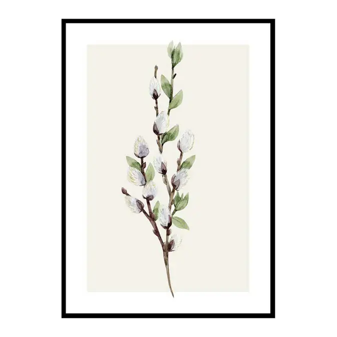 Poster Gallerix Willow Branches