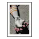 Poster Gallerix Roller Skates No4