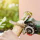 Multisåg Bosch Power Tools EasyCut 12V Utan batteri & Laddare