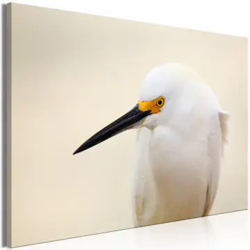 Tavla Arkiio Snowy Egret