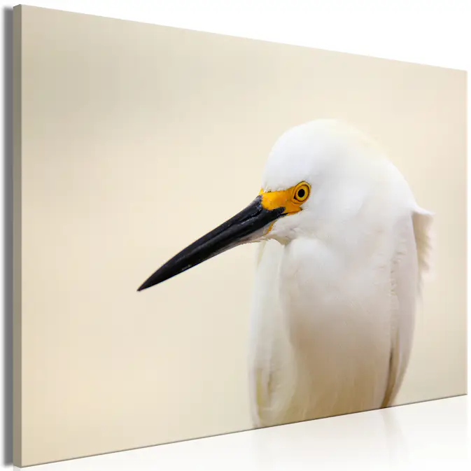 Tavla Arkiio Snowy Egret