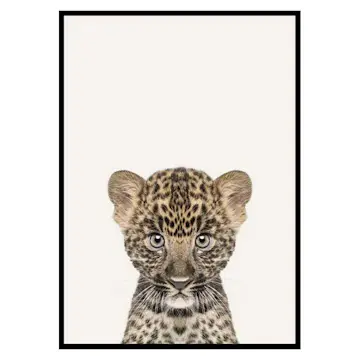 Poster Gallerix Baby Leopard