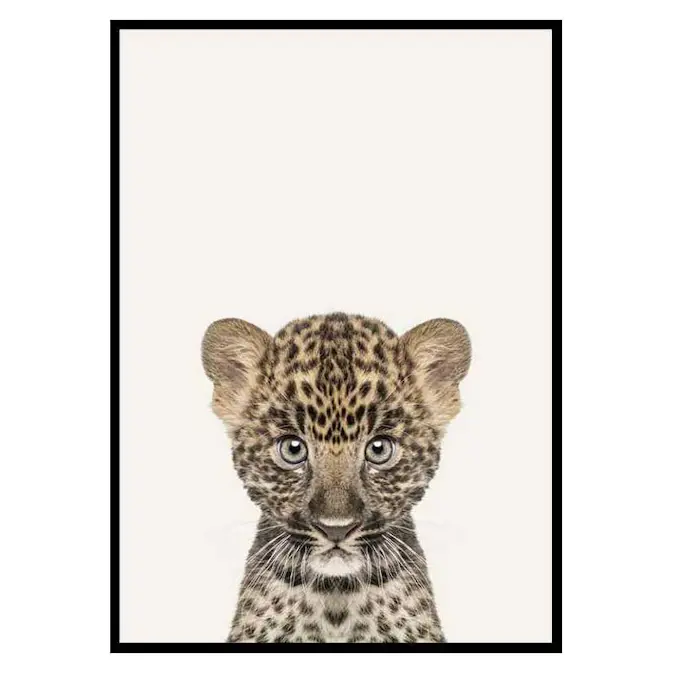 Poster Gallerix Baby Leopard