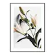 Poster Gallerix Lilies