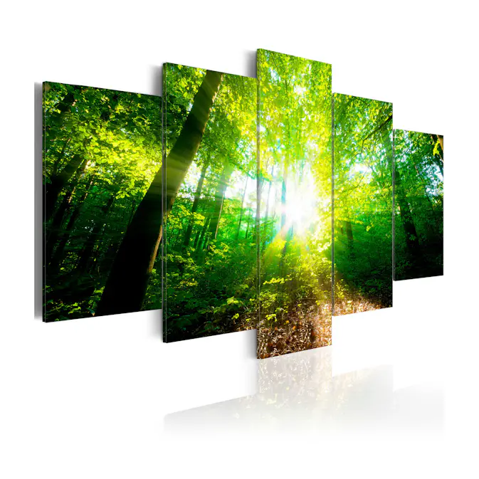 Tavla Arkiio Wonderful Morning