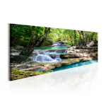 Tavla Arkiio Nature Forest Waterfall