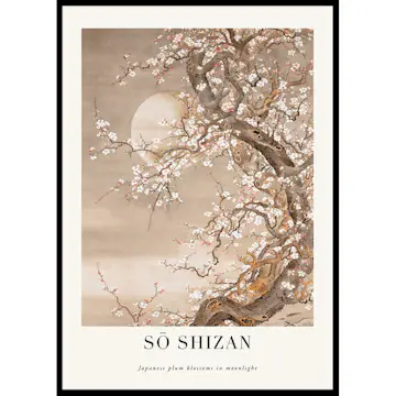 Poster Gallerix Japanese Plum Blossoms In Moonlight By Sō Shizan