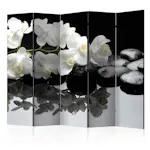 Rumsavdelare Skärmvägg Arkiio Spa, Stones and Orchid II 225x172 cm