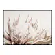 Poster Gallerix Protea Flower No1
