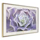 Poster Artgeist Affisch Purple Succulent