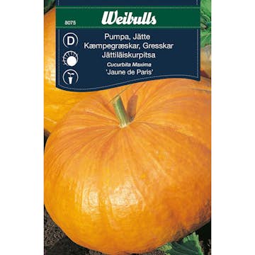 Frö Pumpa Weibulls Jättepumpa