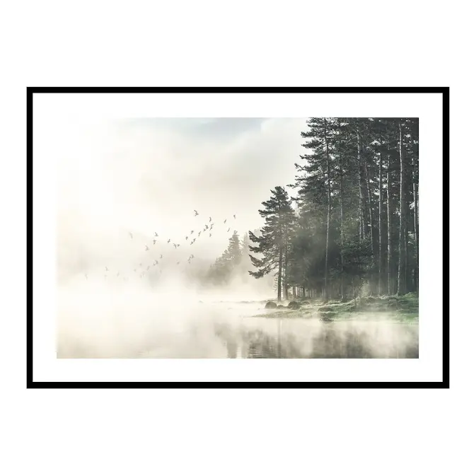 Poster Gallerix Birds In Nature