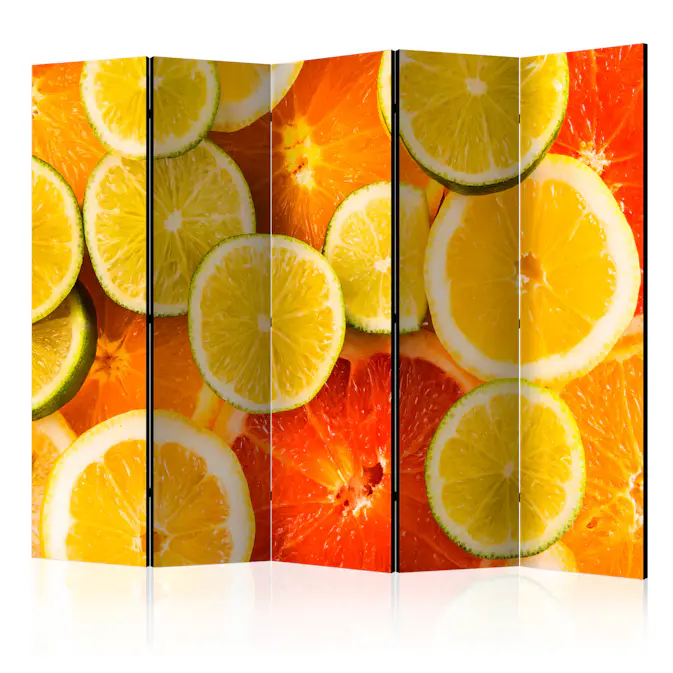 Rumsavdelare Skärmvägg Arkiio Citrus Fruits II 225x172 cm