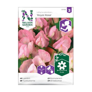 Frö Luktärt Nelson Garden Royal Ros Rosa