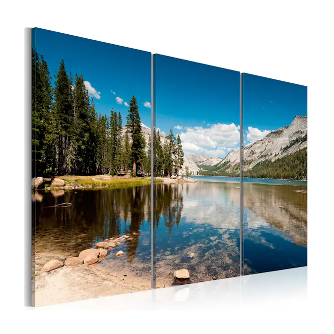 Tavla Arkiio MountaIns Trees And Pure Lake