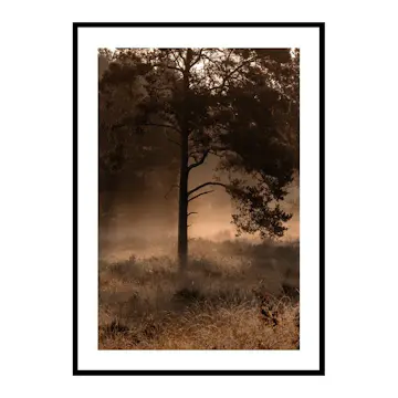 Poster Gallerix Field In Fog